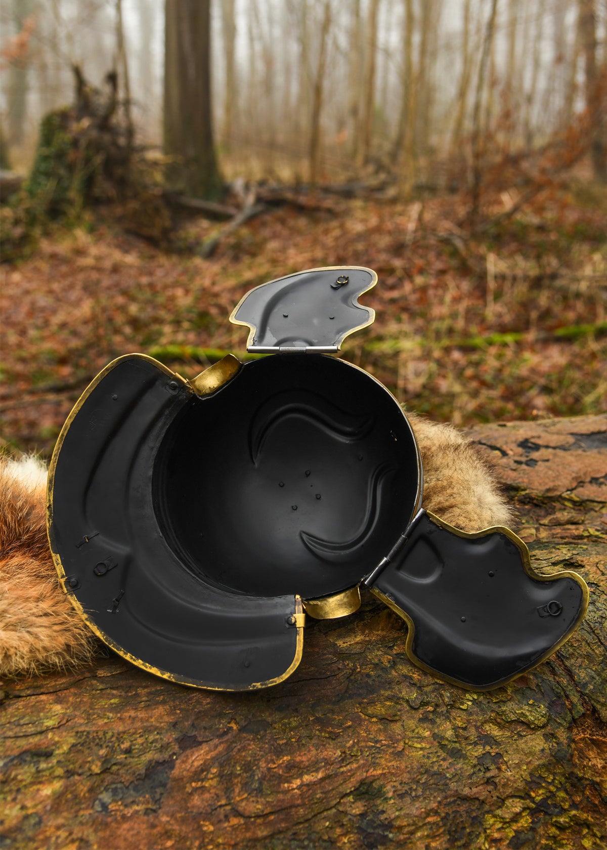 Casco Imperial Gálico