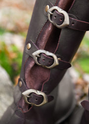 Botas altas de punta, Poulaines