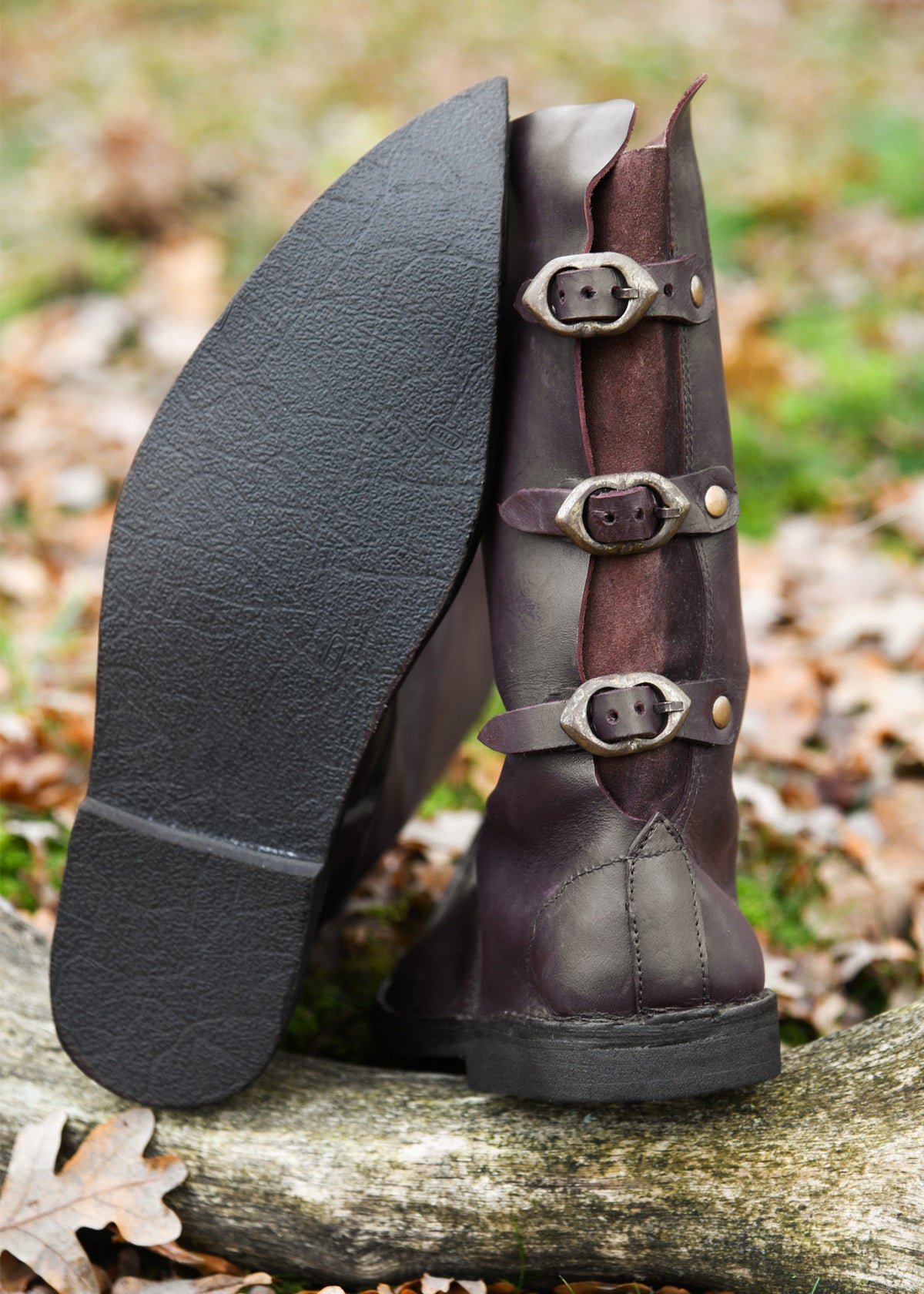 Botas altas de punta, Poulaines