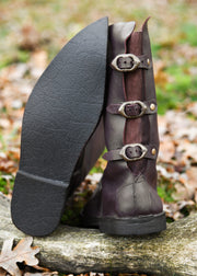 Botas altas de punta, Poulaines