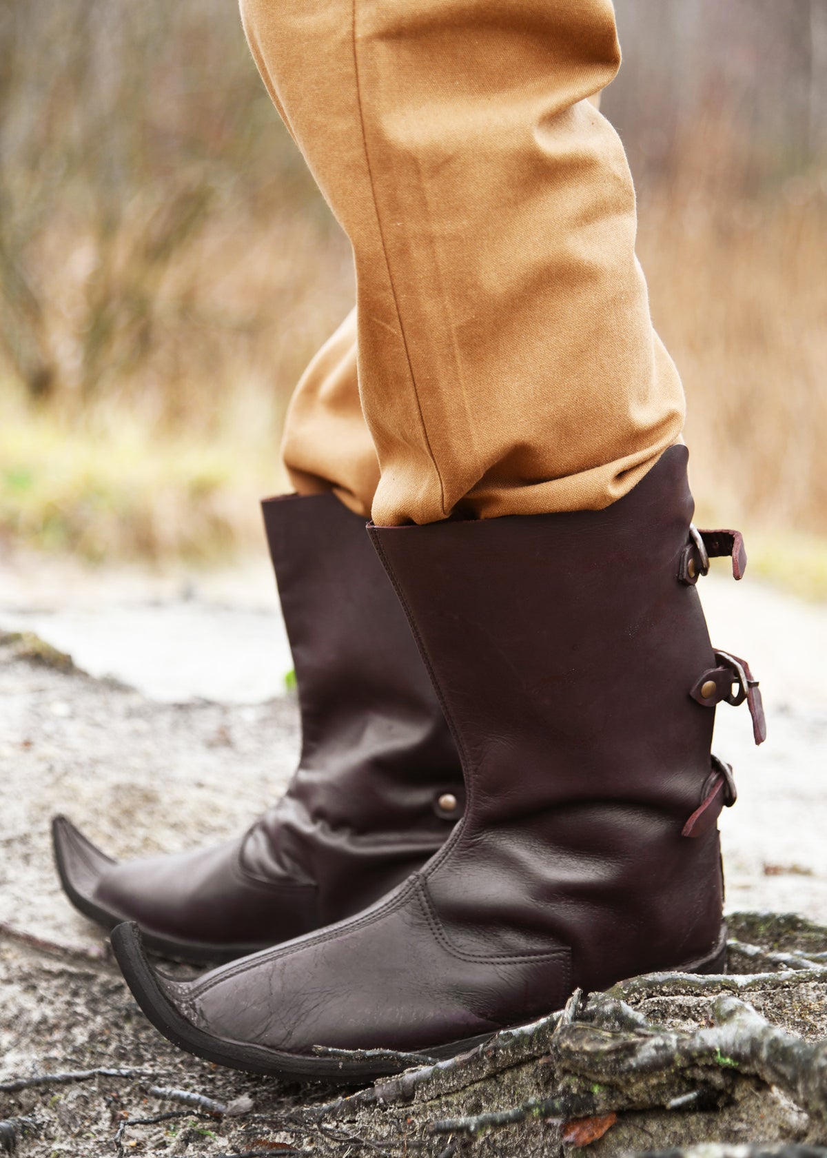 Botas altas de punta, Poulaines