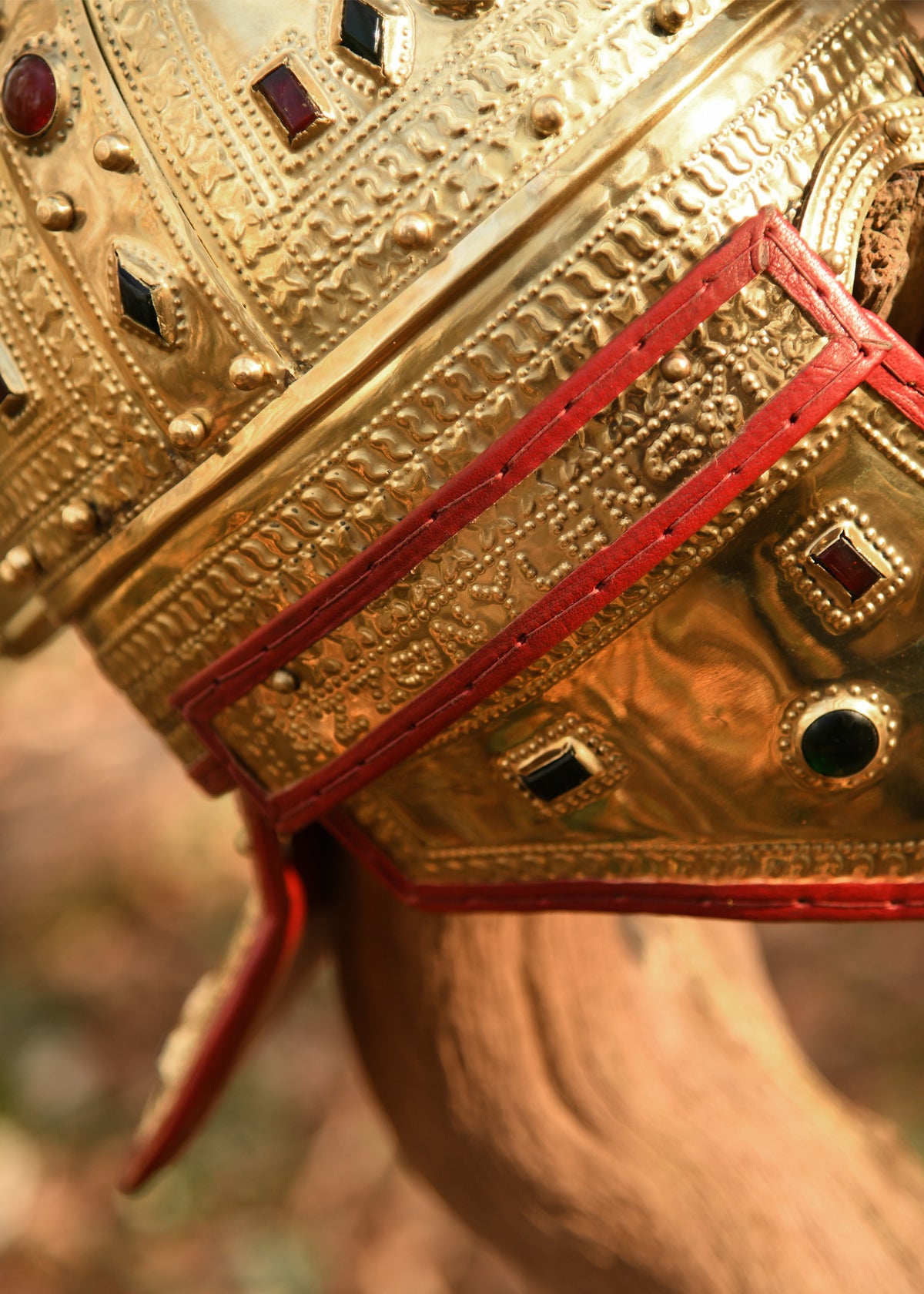 Casco Romano Berkasovo