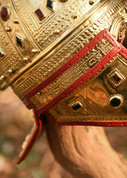 Casco Romano Berkasovo