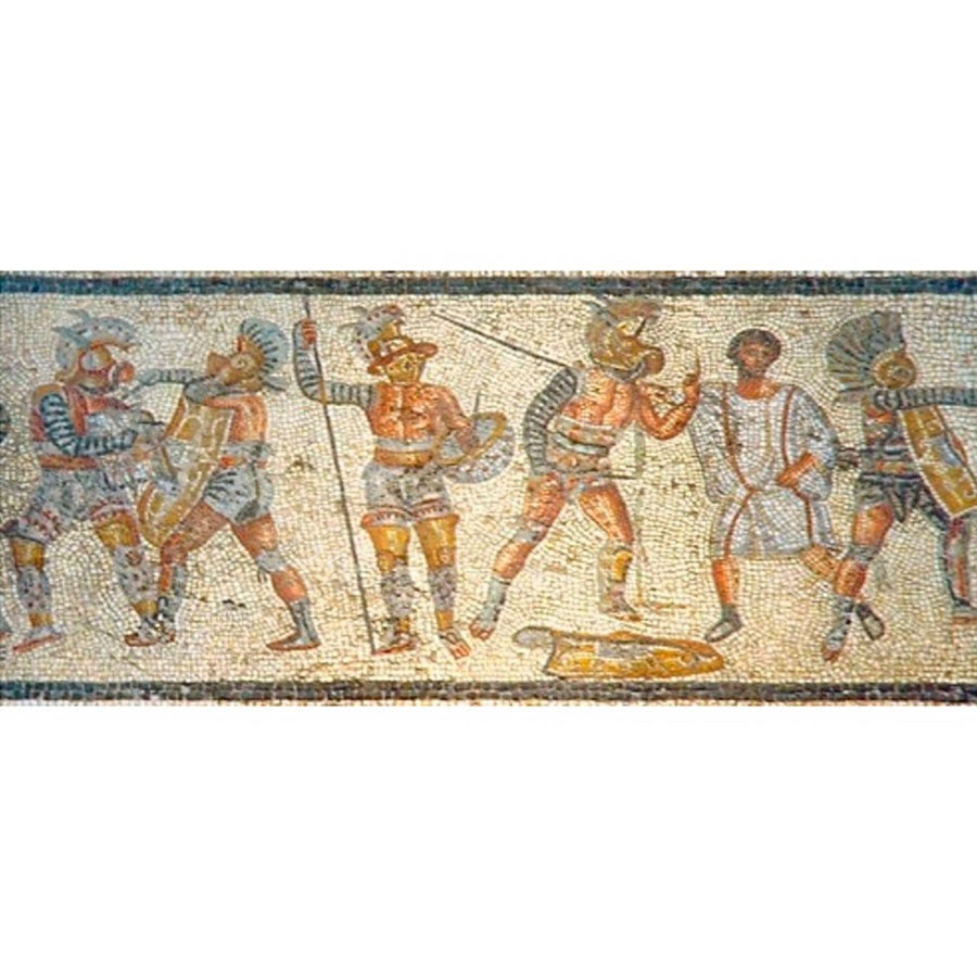 Protección brazo Gladiador