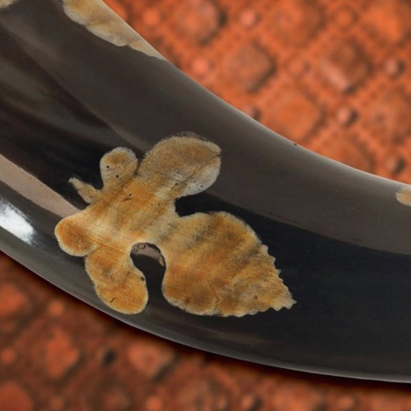 Cuerno vikingo de Olga, 38 cms.