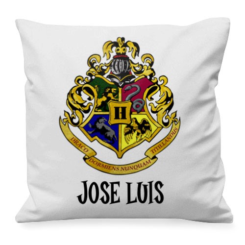 Cojín Magic School de Harry Potter con TU NOMBRE