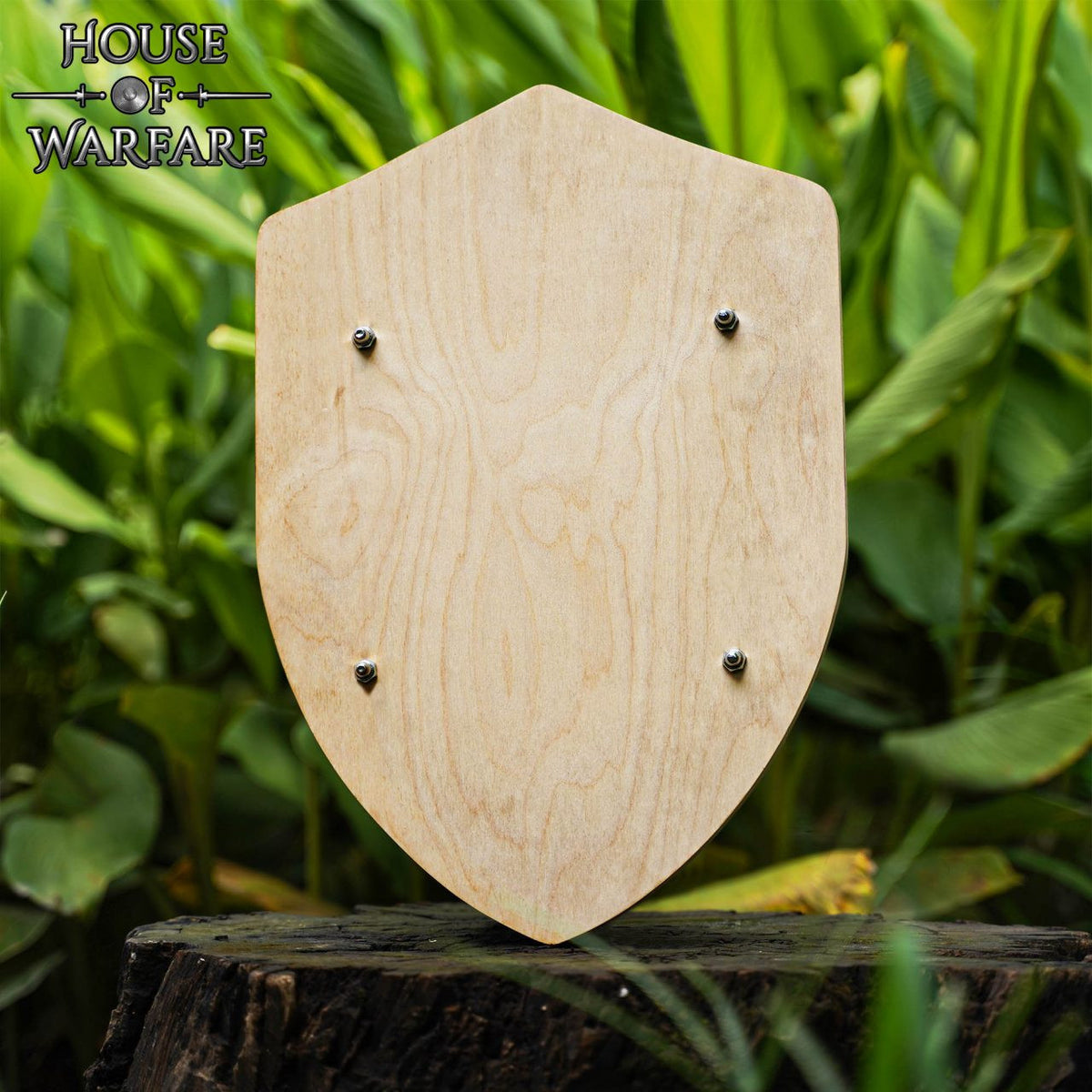 Escudo medieval en madera, customizable